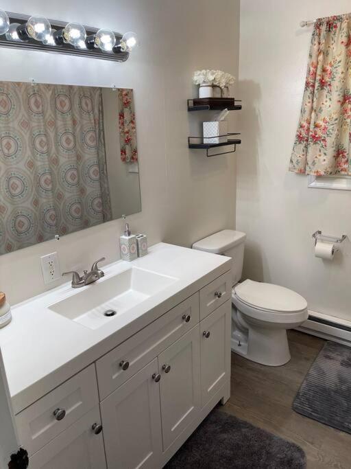 The Tranquility Apartment Tobyhanna Bagian luar foto